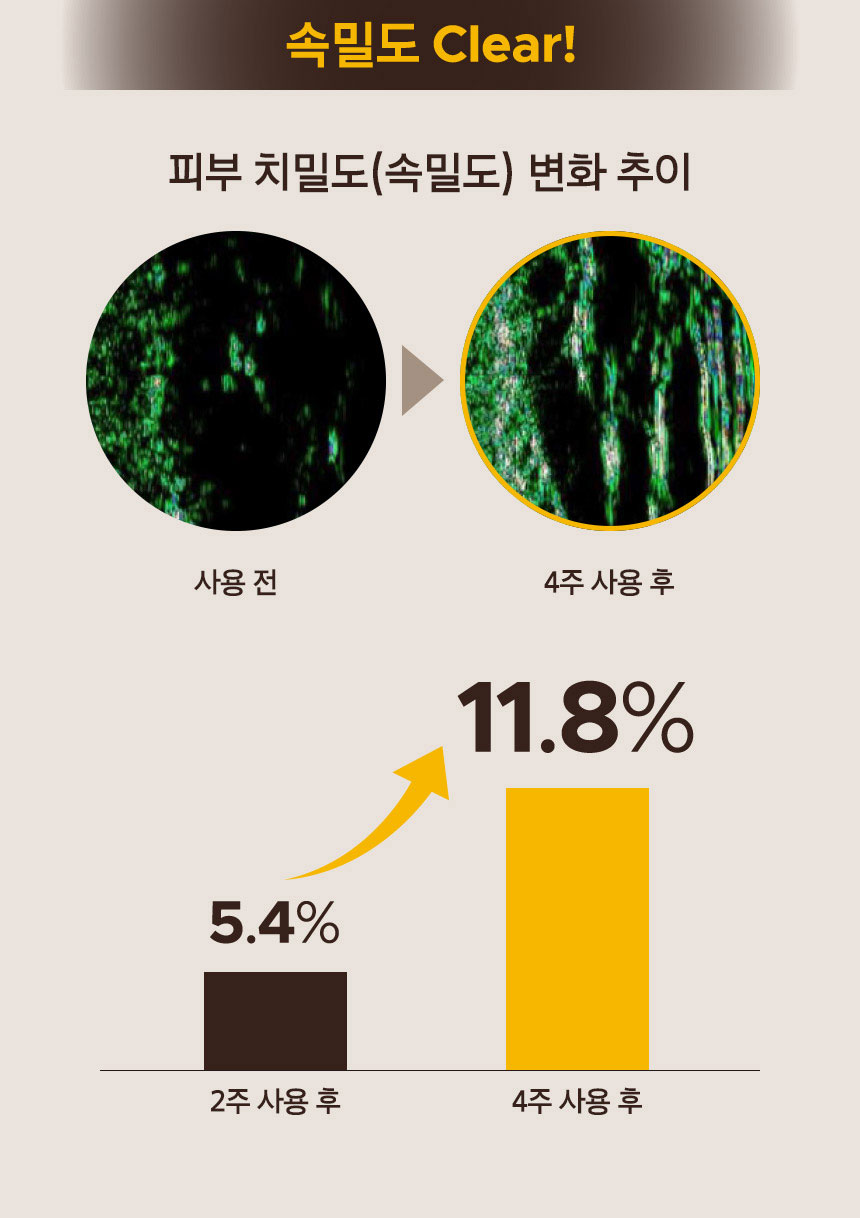 속밀도 Clear! 사용 전과 4주 사용 후의 피부 치밀도(속밀도) 변화 추이. 2주 사용 후 5.4%, 4주 사용 후 11.8%로 속밀도 증가